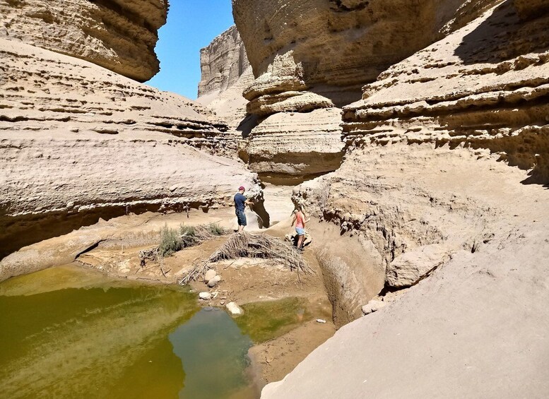 Picture 8 for Activity From Paracas/Ica: Canyon of the Lost Guided Day Trip