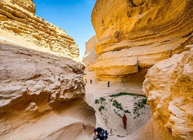 From Paracas/Ica: Canyon of the Lost Guided Day Trip