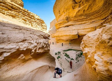 Desde Paracas/Ica: Excursión guiada de un día al Cañón de los Perdidos