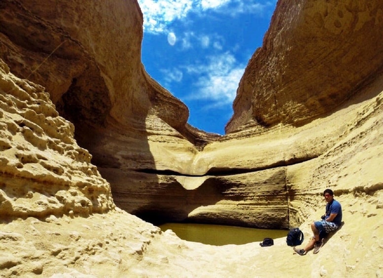 Picture 2 for Activity From Paracas/Ica: Canyon of the Lost Guided Day Trip