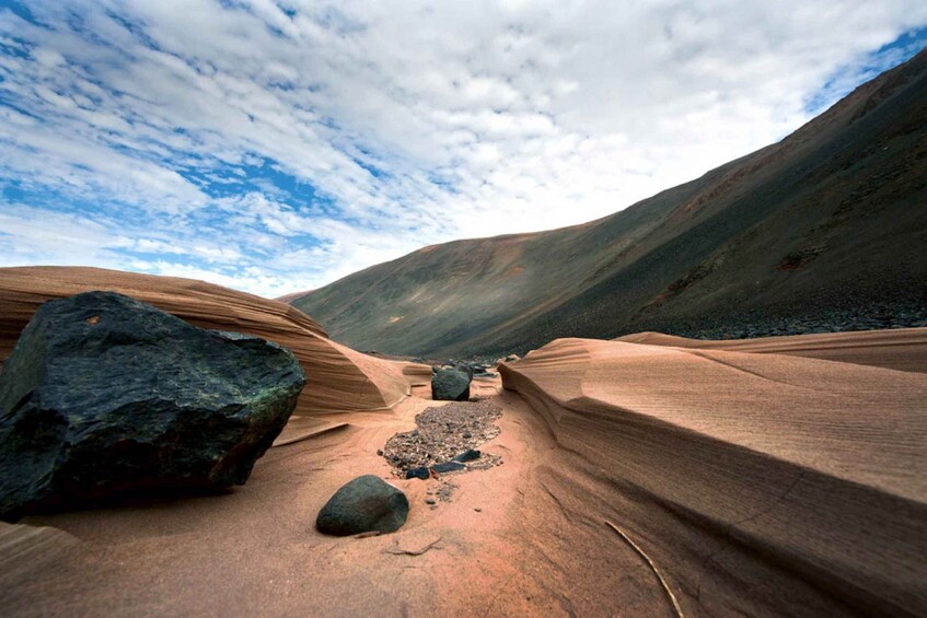 Picture 4 for Activity From Paracas/Ica: Canyon of the Lost Guided Day Trip