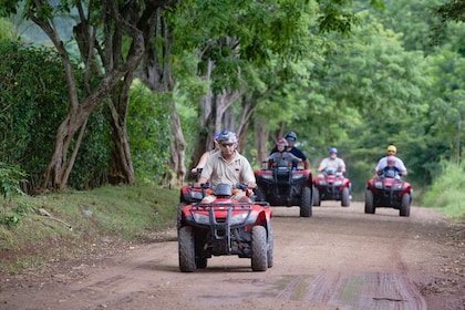 From Guanacaste: Scenic quad bike Tour with Transfer