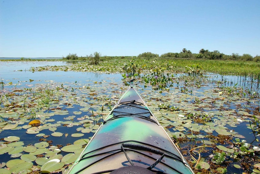 Picture 10 for Activity TRU Kayak - Crossing through the majestic Uruguay River