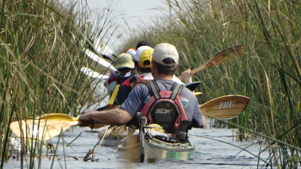 Picture 8 for Activity TRU Kayak - Crossing through the majestic Uruguay River