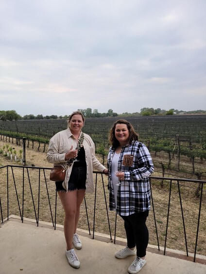 Wine tour & History