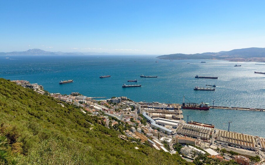 Picture 9 for Activity Gibraltar: Ultimate Full-Day Private Tour