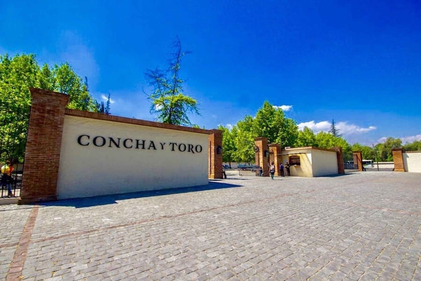 Picture 3 for Activity Concha y toro Wine tour