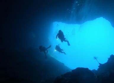 Naxos: Discover Scuba Dive with Nima Dive Center