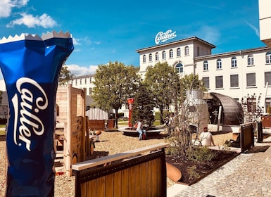 Depuis Genève : Journée de dégustation de chocolat et de fromage de la Gruy...