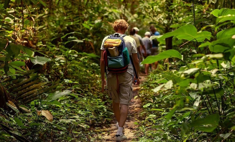 St. Kitts: Rainforest Eco Adventure Guided Hike