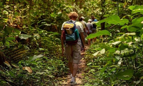 St. Kitts: Geführte Regenwald-Wanderung