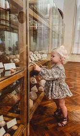 Cavtat: Experience wonder of the ocean at the Shell Museum
