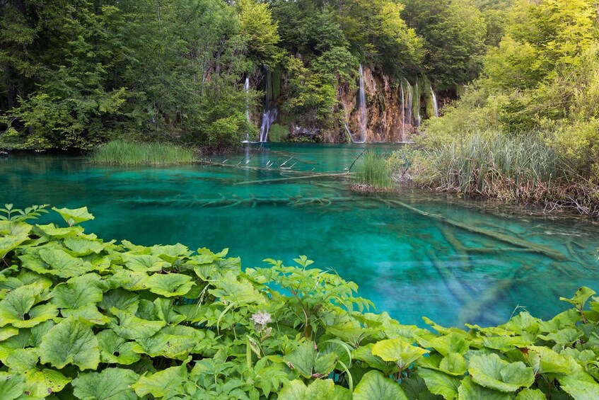 Picture 8 for Activity From Zadar: Plitvice Lakes Private Round-Trip Transfer