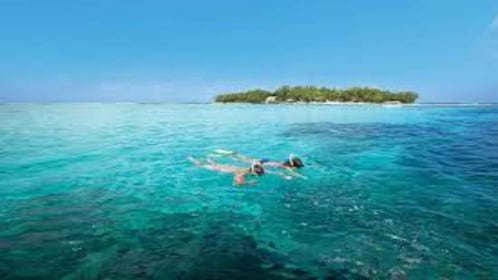 Mahebourg: L'île des Deux Cocos Insel Bootstour mit Mittagessen