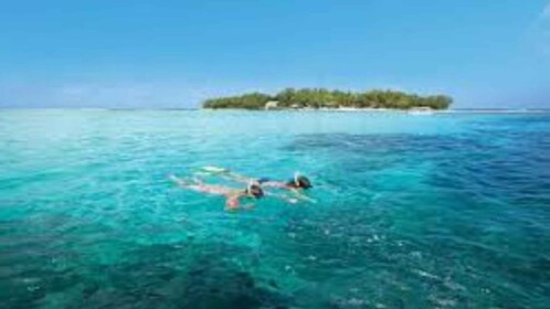 Mahébourg: recorrido en barco por la Isla de los Dos Cocos con almuerzo