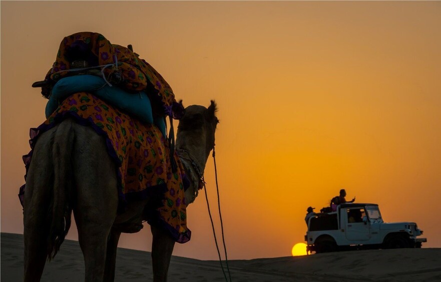 Picture 6 for Activity From Jodhpur : 2 Days Jaisalmer with Desert Camping Tour