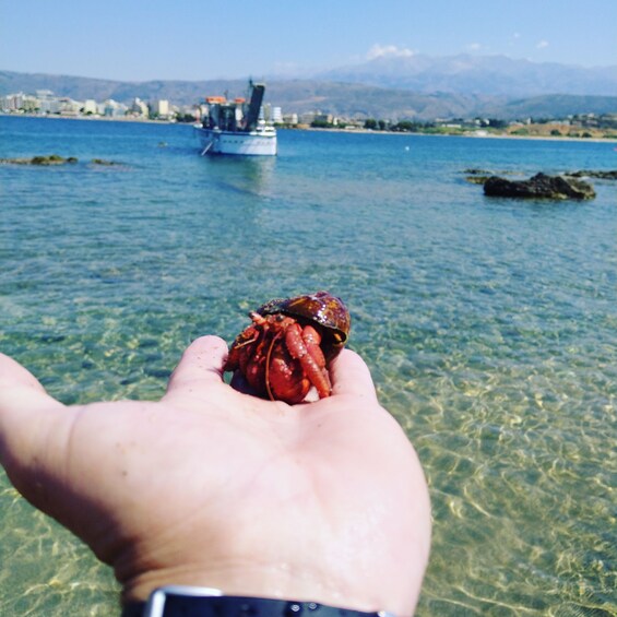 Picture 4 for Activity Chania Town: Glass-Bottom Boat Cruise to Thodorou & Lazareta