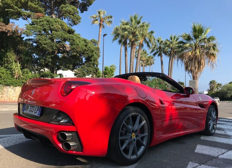 Picture 3 for Activity Cannes : Ferrari experience