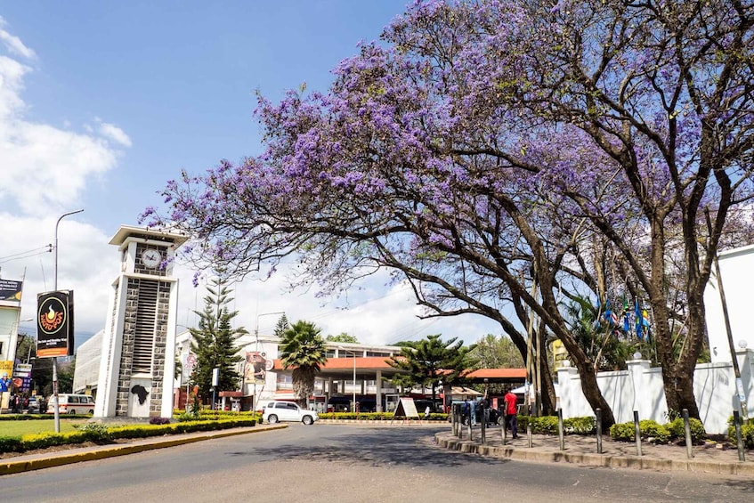 Picture 3 for Activity Arusha Town Tour