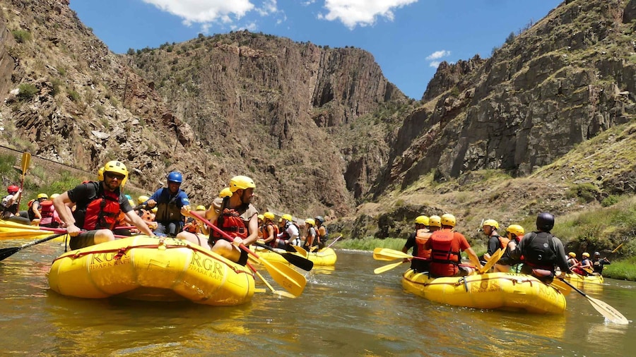 Cañon City: Royal Gorge Half-Day Whitewater Rafting