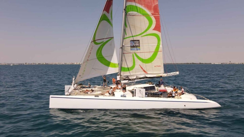 Picture 2 for Activity Port Camargue: Half-Day Sailing Tour on a Racing Catamaran