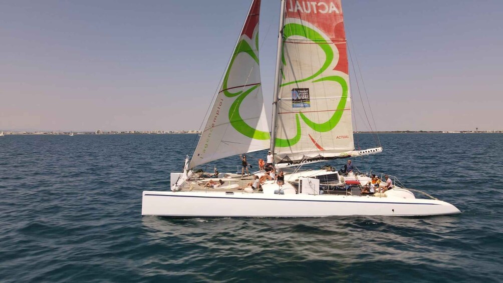 Picture 2 for Activity Port Camargue: Half-Day Sailing Tour on a Racing Catamaran