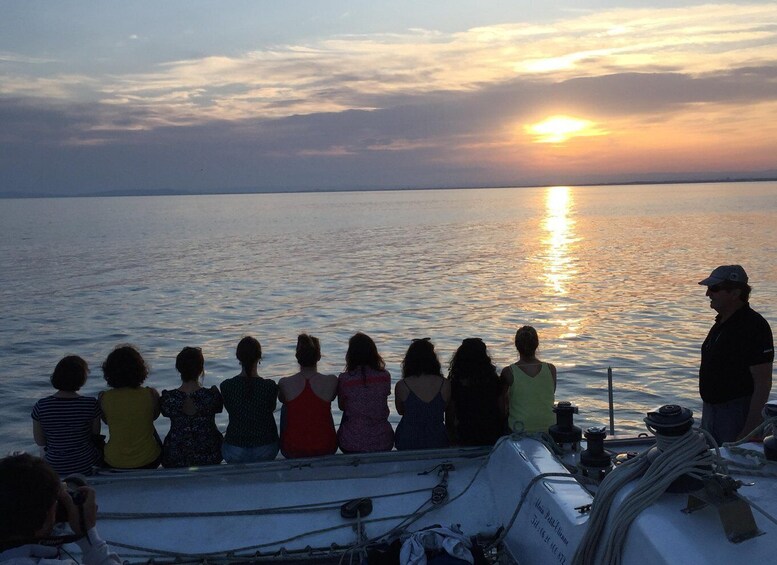 Picture 1 for Activity Port Camargue: Half-Day Sailing Tour on a Racing Catamaran