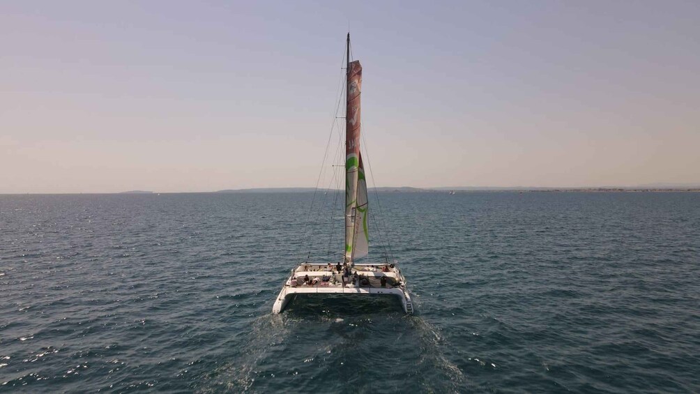 Picture 3 for Activity Port Camargue: Half-Day Sailing Tour on a Racing Catamaran