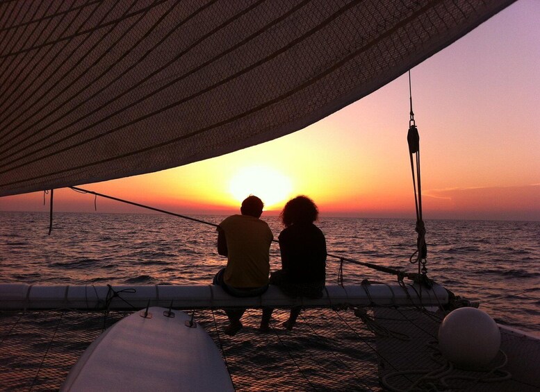 Port Camargue: Half-Day Sailing Tour on a Racing Catamaran