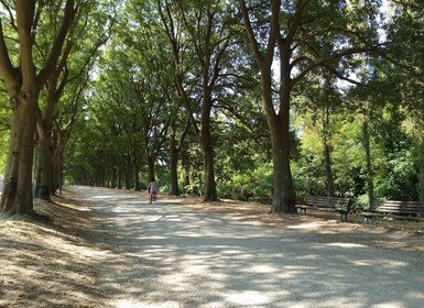 Ferrara: Private City Highlights Guided Bike Tour