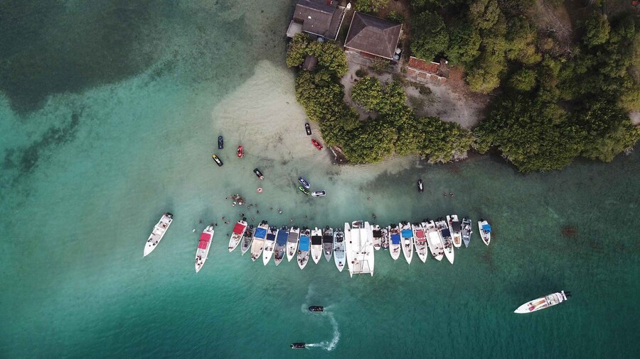 Boat Trip to Robert's Bay with Liqueurs and local meal