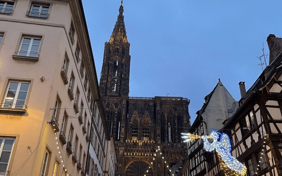 Picture 4 for Activity Strasbourg: Christmas Markets Walking Tour with Mulled Wine