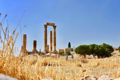 From Amman: Amman city and Dead Sea Full day Tour