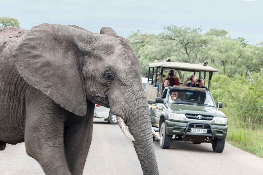 Hazyview: Kruger Park Safari & Panorama Route 2-Day Tour