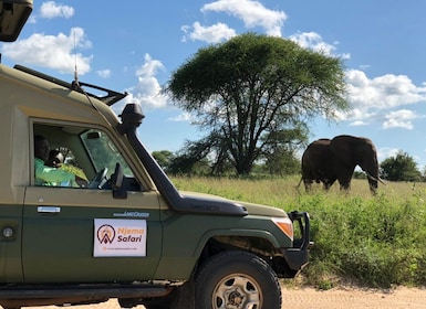 From Zanzibar: Unforgettable Mikumi National Park Day Safari