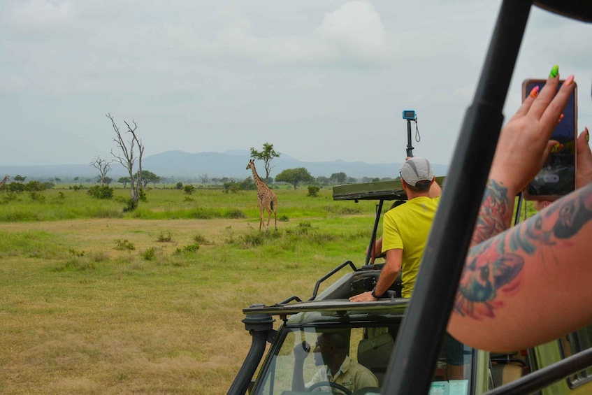 Picture 11 for Activity From Zanzibar: Mikumi National Park Guided Safari