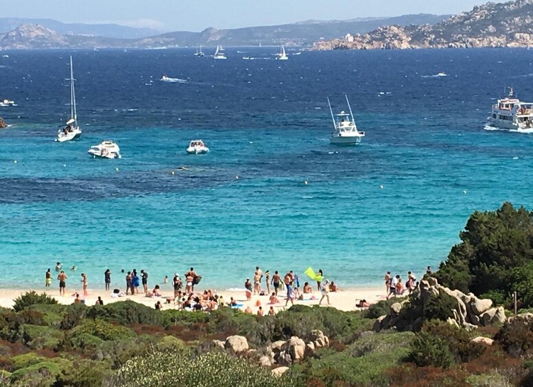 Picture 4 for Activity boat excursion to discover the Maddalena archipelago