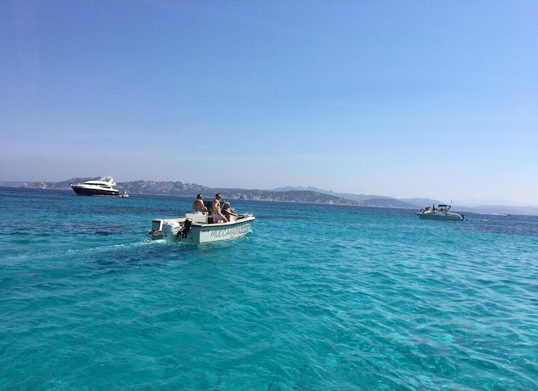 Picture 5 for Activity boat excursion to discover the Maddalena archipelago