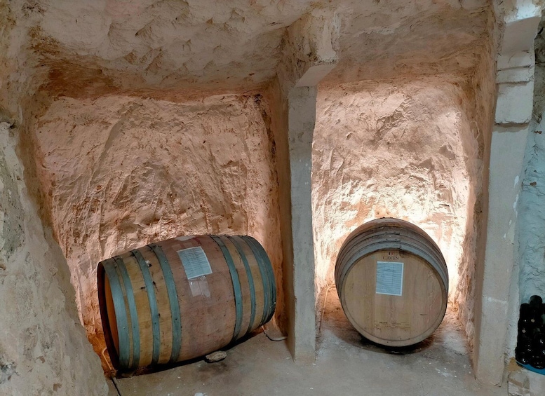 Picture 7 for Activity Ribera del Duero: 2 Winery Visits and Transport from Madrid