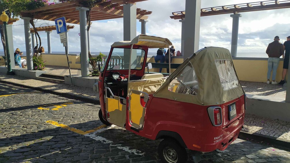 Picture 4 for Activity Tuk Tuk Botanical Garden - Madeira Island