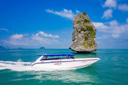Koh Samui: Private Ang Thong Marine Park Tour by Speed Boat