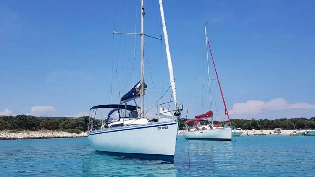 Picture 2 for Activity From Zadar: Private Half Day Sailing Tour