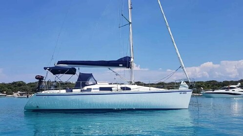 From Zadar: Private Half Day Sailing Tour