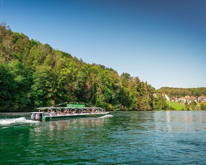 Picture 2 for Activity Neuhausen am Rheinfall: Rhine Falls Boat Tour