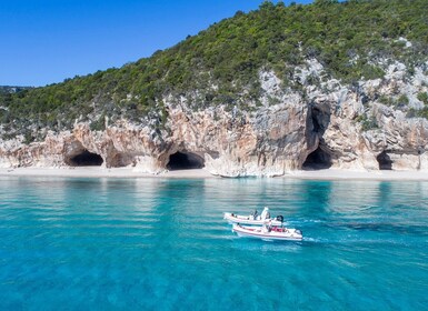 Cala Gonone: Gulf of Orosei Dinghy Excursion with Skipper