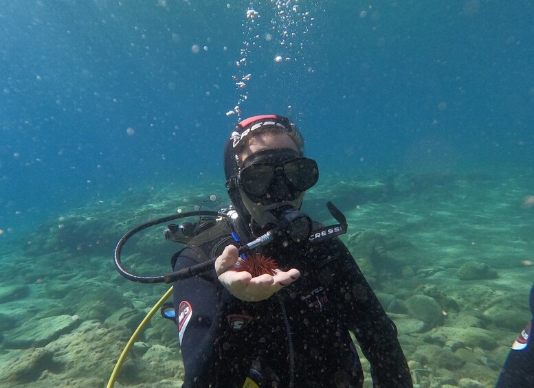 Picture 4 for Activity Heraklion: Beginner's intro dive w/2 Dives with transfer.