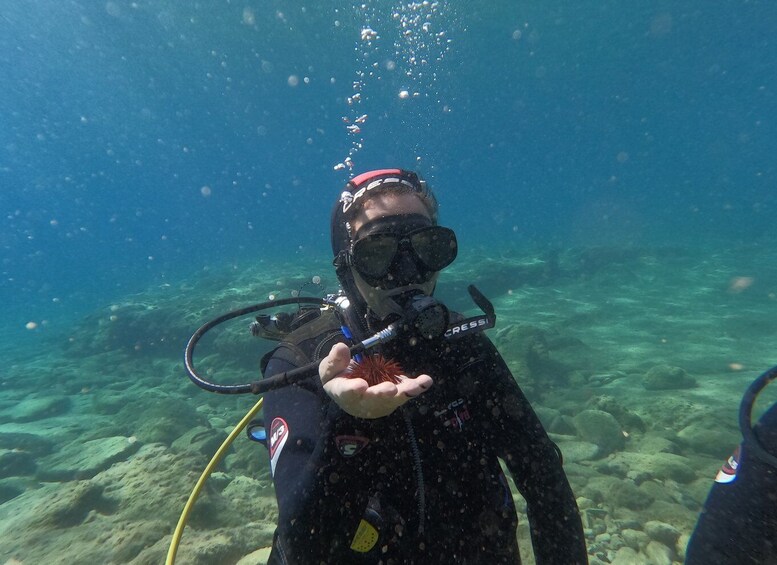 Picture 4 for Activity Heraklion: Beginner's intro dive w/2 Dives with transfer.