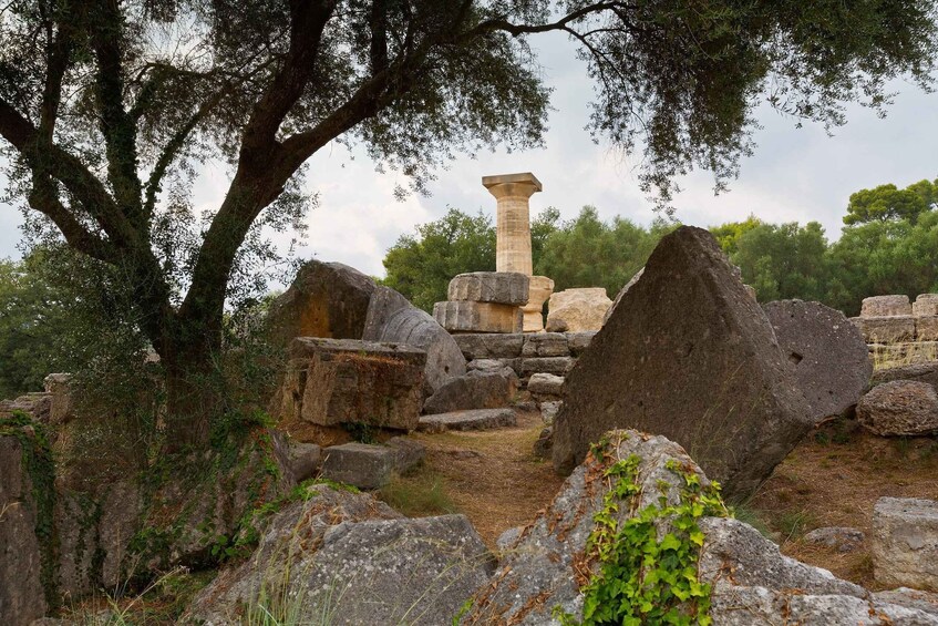 Picture 5 for Activity Private Ancient Olympia Tour & Honey Farm Experience