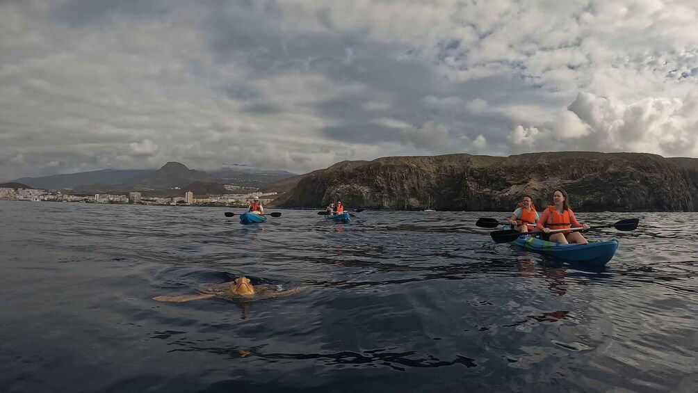 Picture 8 for Activity Tenerife: Kayak and Snorkel and fotos free Small group