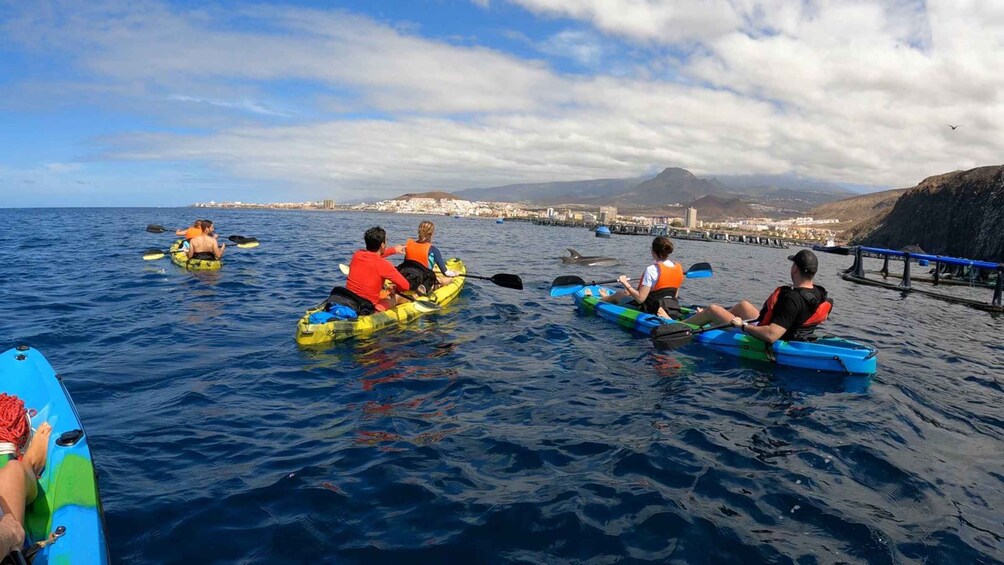 Picture 9 for Activity Tenerife: Kayak and Snorkel and fotos free Small group
